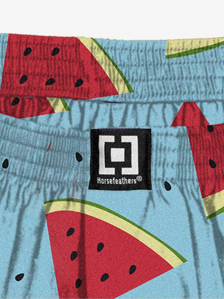 Horsefeathers Kratke hlače Manny - melon Horsefeathers