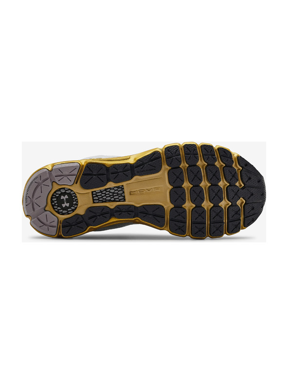 Under Armour Ženske cipele Under Armour W HOVR Infinite 2