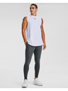 Under Armour Hybrid Trenirka donji dio
