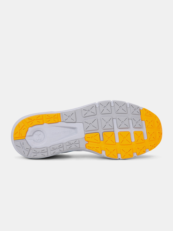 Under Armour Muške cipele Under Armour UA Charged Rogue 2.5 Storm