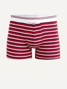 Celio Mitch Bokserice