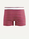 Celio Mitch Bokserice