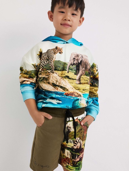 Desigual Khaki Desigual Angel kratke hlače za dječake
