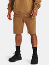 Under Armour Muške šorts Under Armour UA ORIGINATORS SHORT