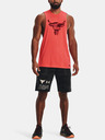 Under Armour Muške kratke hlače Under Armour UA Pjt Rk Q2 Hvywt Terry Sts