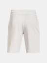 Under Armour Muške kratke hlače Under Armour RIVAL TERRY CLLGT SHORT