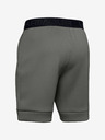 Under Armour Muške kratke hlače Under Armour Move Shorts