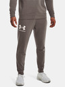 Under Armour Under Armour UA Rival Terry Jogger muške trenirke