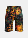 Under Armour Muške kratke hlače Under Armour UA Rival Flc Sport Palm Sts