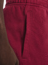 Under Armour Muške kratke hlače Under Armour UA RIVAL TERRY SHORT