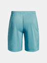 Under Armour Muške kratke hlače Under Armour UA Tech Mesh Shorts