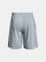 Under Armour Muške kratke hlače Under Armour UA Tech Mesh Shorts