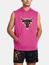 Under Armour Muška dukserica Under Armour Pjt Q2 Payoff SL Flce HD