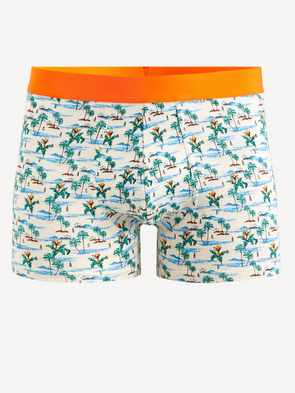 Celio Giboparadi Bokserice