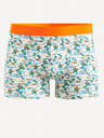 Celio Giboparadi Bokserice