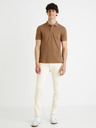 Celio Foninety Traperice
