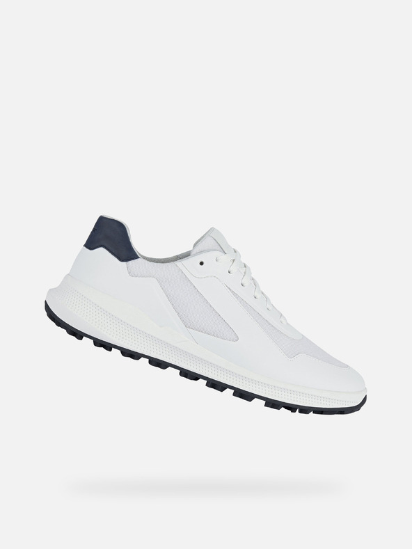 Geox Bijele muške tenisice Geox PG1x