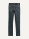 Celio Traperice