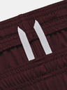 Under Armour Under Armour Ženske kratke hlače UA W's Ch. Pletene kratke hlače
