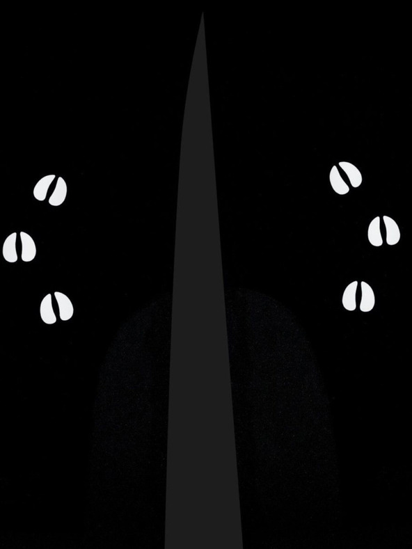 Kilpi Crne dječje skijaške hlače Kilpi CHARLIE