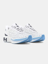 Under Armour Under Armour UA W Infinite Elite ženske cipele