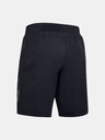 Under Armour Muške kratke hlačice Under Armour PJT ROCK UNSTPPBLE Storm Short