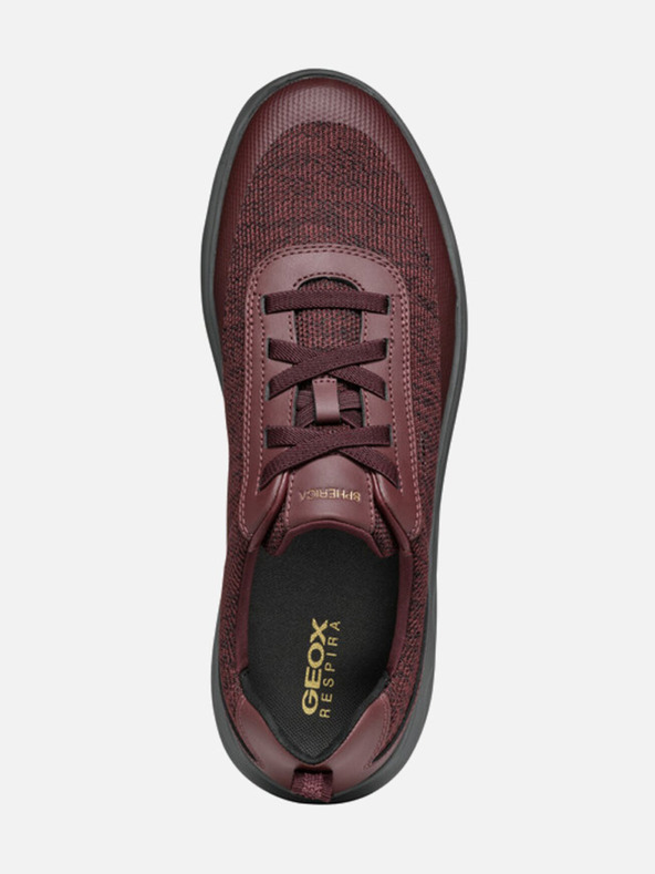 Geox Geox Spherica wine muške tenisice