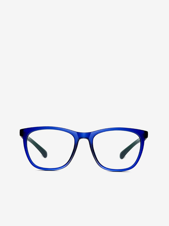 VEYREY Računalne naočale