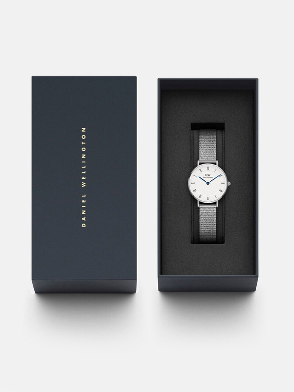 Daniel Wellington Daniel Wellington Mesh Petite Sterling Silver ženski sat