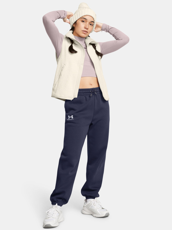 Under Armour Under Armour UA Icon Fleece Jogger ženske trenirke