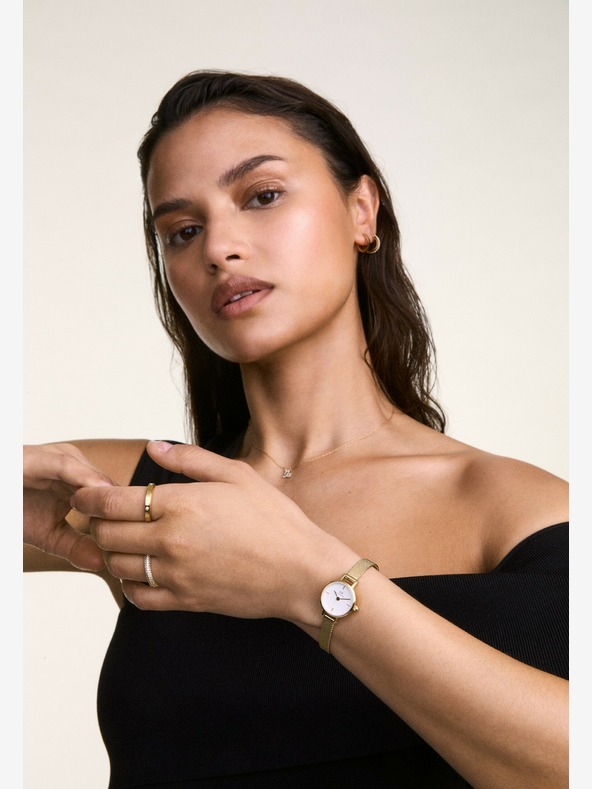 Daniel Wellington Petite Mini 19 Evergold Satovi