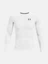 Under Armour Muška kompresijska majica Under Armour HG Armour Comp LS