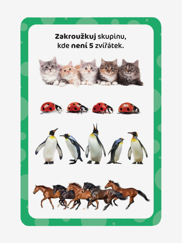 ELLA & MAX Čarobni tablet i kartice koje se mogu brisati - Prvi IZRAČUN