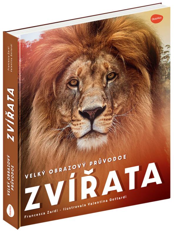 ELLA & MAX Veliki slikovni vodič za ŽIVOTINJE