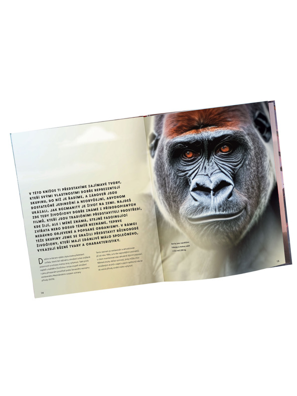 ELLA & MAX Veliki slikovni vodič za ŽIVOTINJE