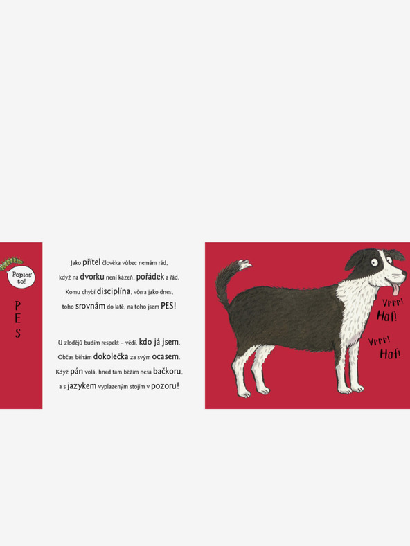 ELLA & MAX Nestašne igre U DVORIŠTU sa životinjama