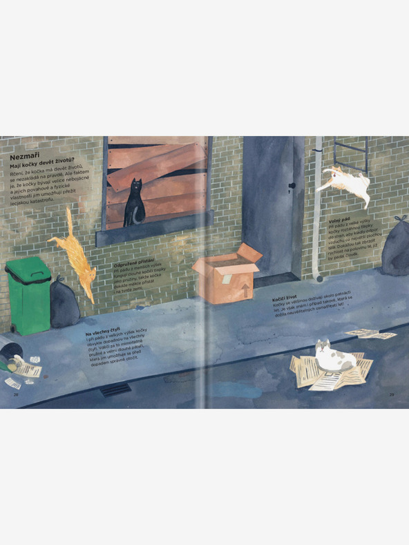 ELLA & MAX ZAŠTO SE MAČKE PENU NA ZAVJESE? – Sve o mačkama