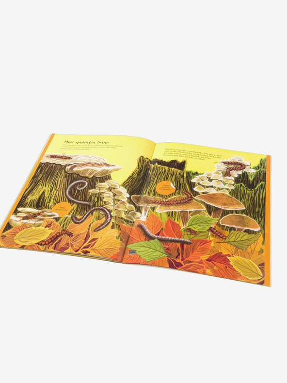 ELLA & MAX KRUBE, LEPTIRI i ostala bića - Knjiga naljepnica