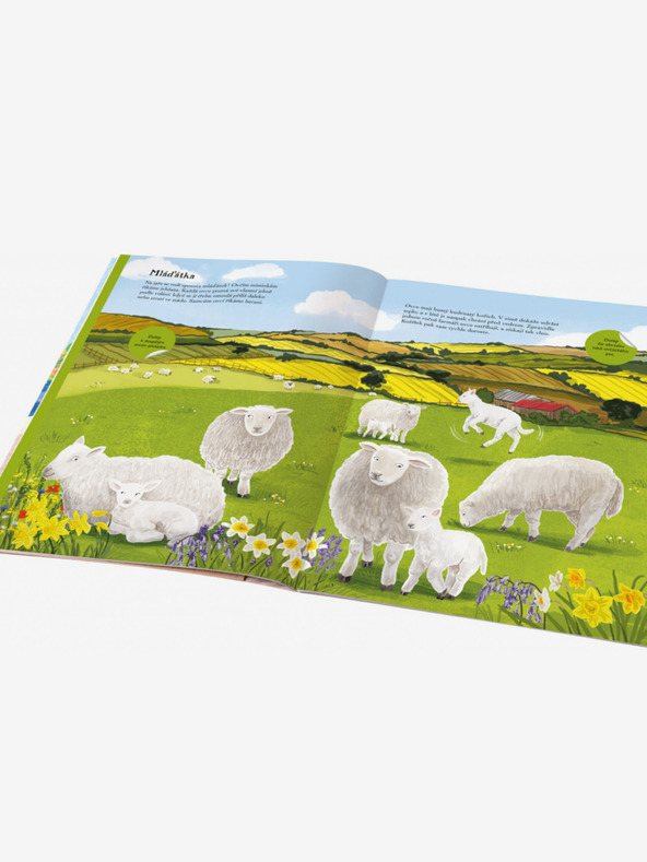 ELLA & MAX KONJI, KOKOŠI i ostale domaće životinje - Knjiga naljepnica