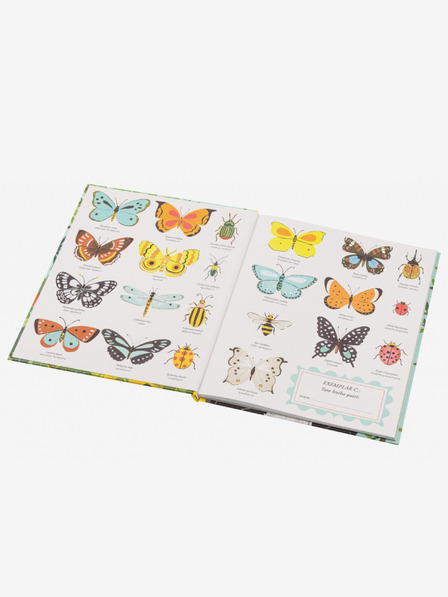 ELLA & MAX O PORIJEKLU VRSTA - Darwinova teorija za djecu