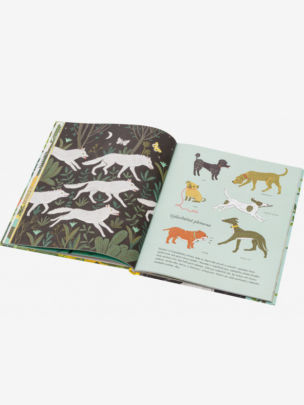 ELLA & MAX O PORIJEKLU VRSTA - Darwinova teorija za djecu