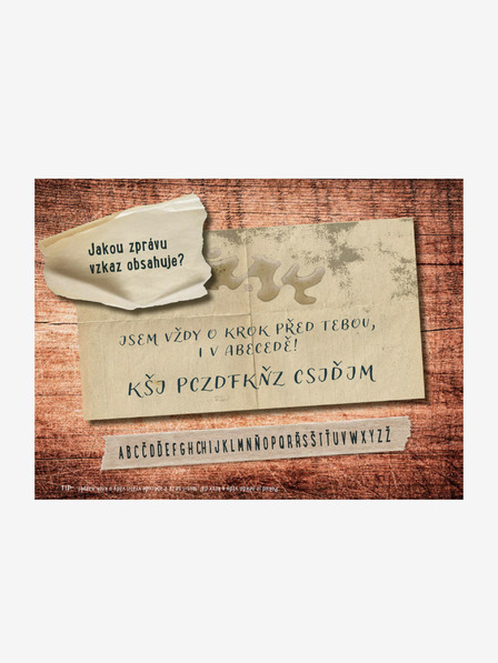 ELLA & MAX BIJEG - MISTERIJA CRNE VILE