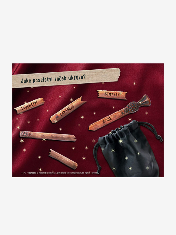 ELLA & MAX BIJEG - MISTERIJA CRNE VILE