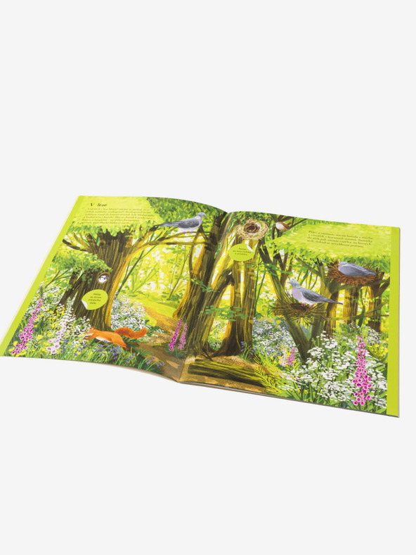 ELLA & MAX SISICE, VRAPCI i druge ptice pjevice - Knjiga naljepnica