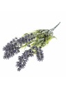 Casa de Engel Umjetna lavanda, 84/336