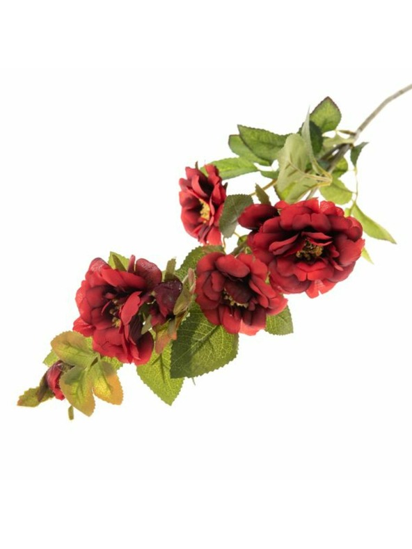 Casa de Engel Umjetne ruže, 36/216