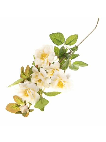 Casa de Engel Umjetne ruže, 36/216