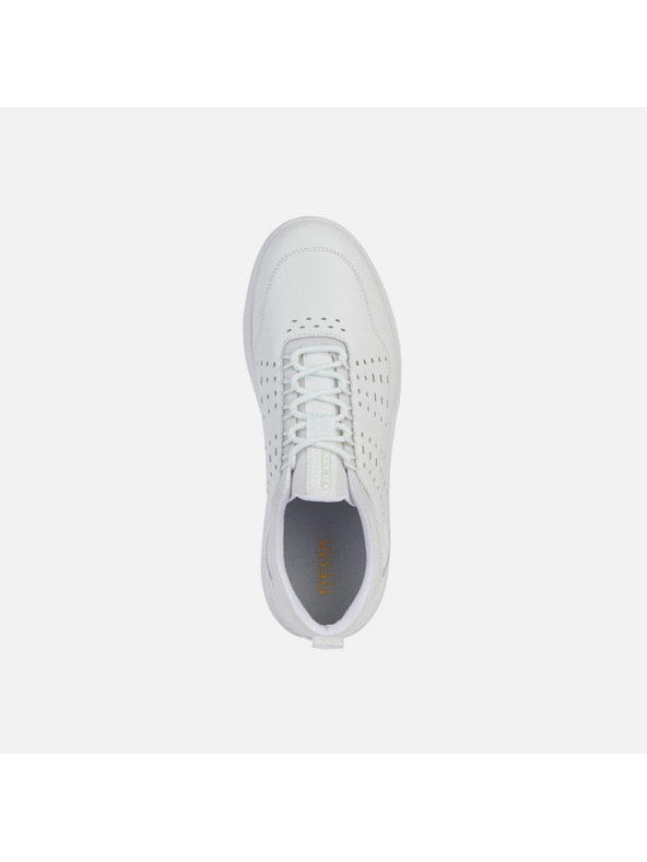 Geox Bijele muške tenisice Geox Spherica C
