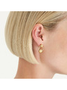 Rosefield Pozlaćene ženske naušnice Rosefield JECEG-J894
