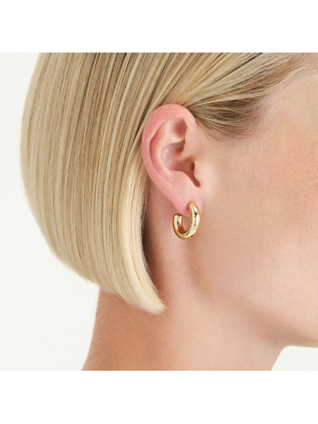 Rosefield Pozlaćene ženske naušnice Rosefield JESHG-J931